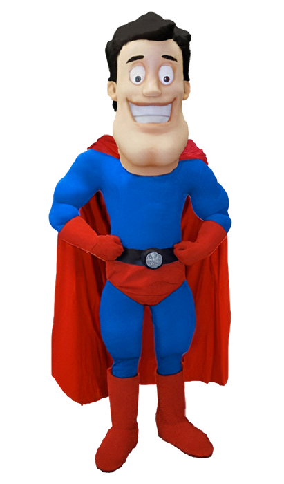 Super Hero Mascot Costume