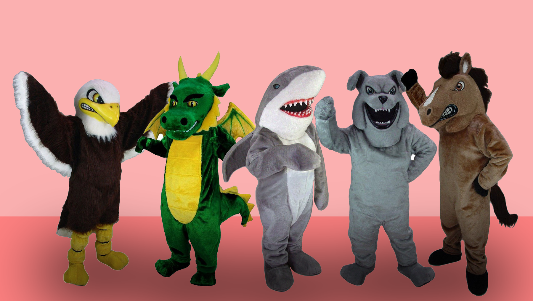 Make it memorable! Top 5 Best Selling Mascot Costumes