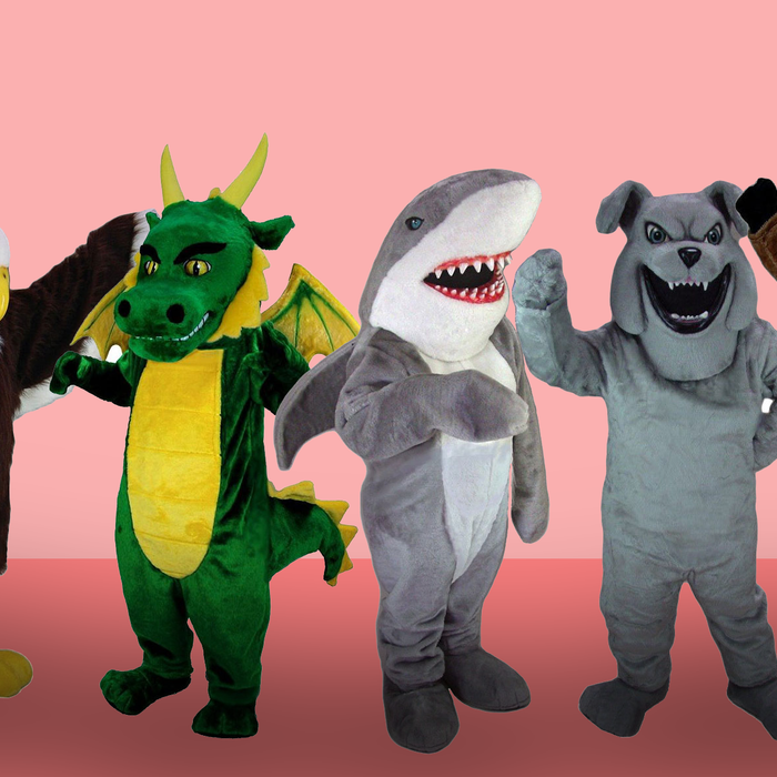 Make it memorable! Top 5 Best Selling Mascot Costumes