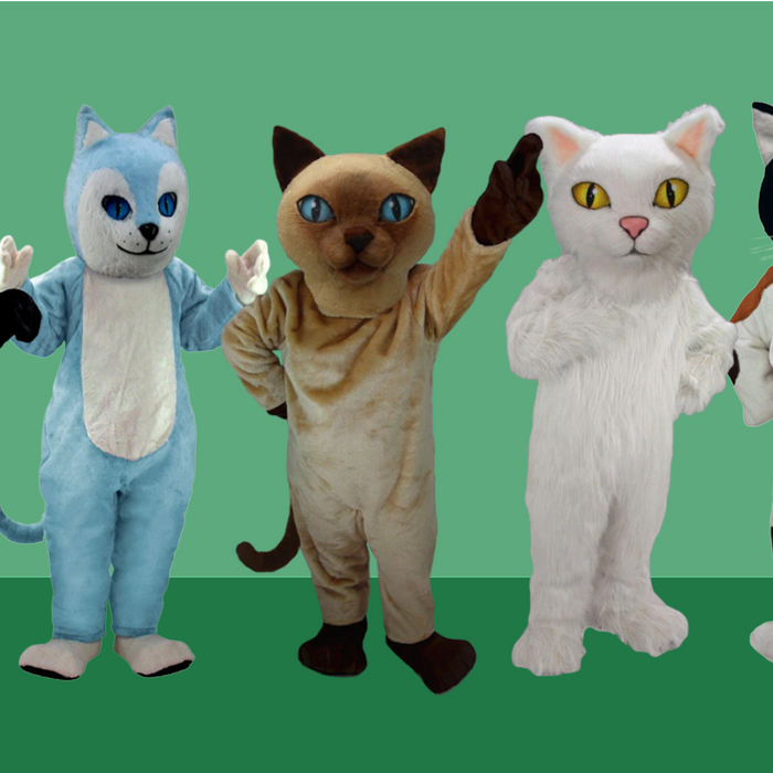 Pussycat: Top 5 Domestic Cat Mascot Costumes