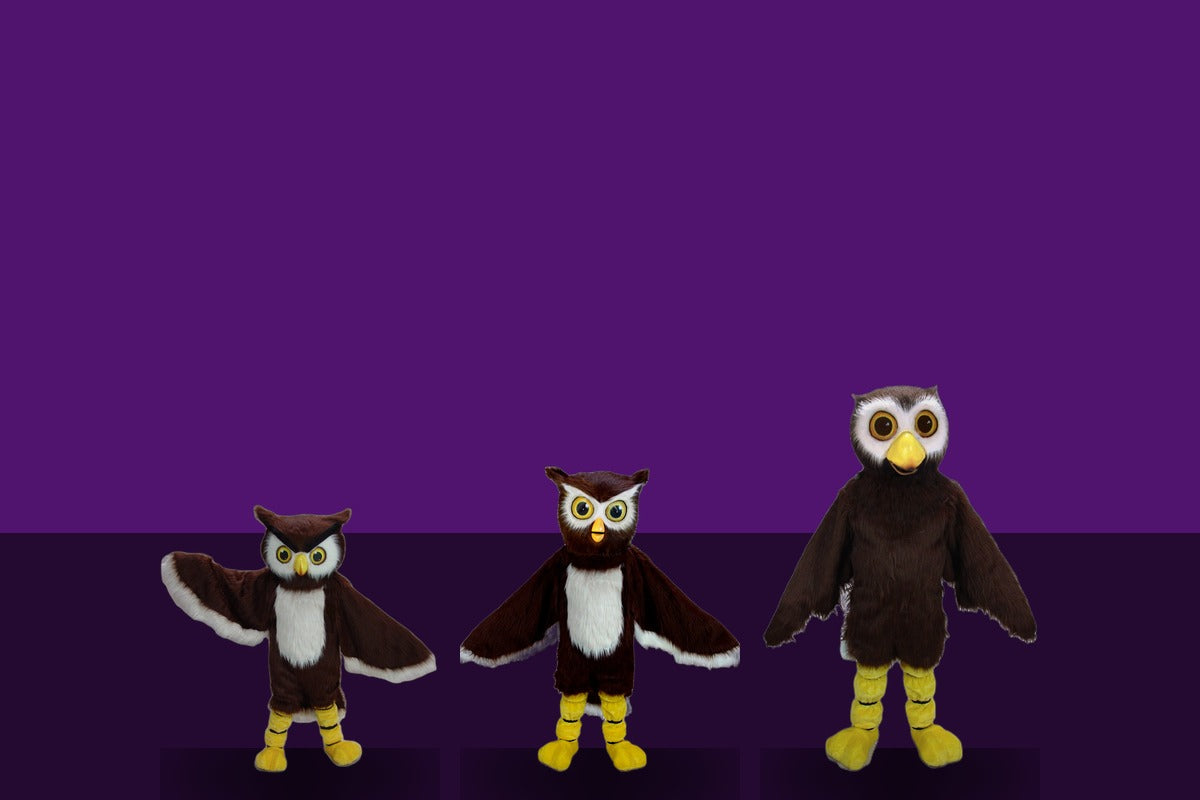 Owl Mascot Costumes