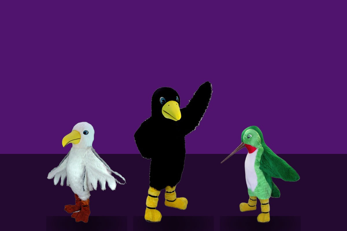 Bird Mascot Costumes