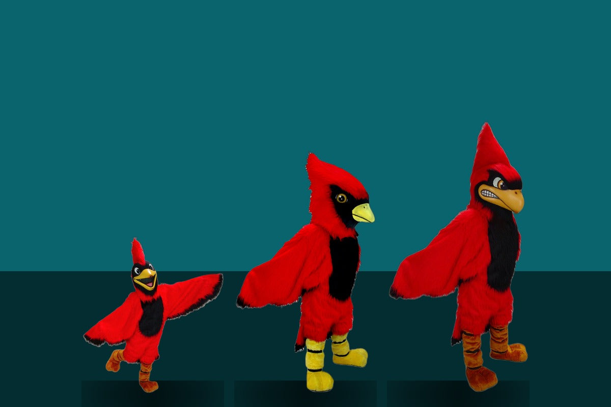 Cardinal Mascot Costumes | The Mascot Store