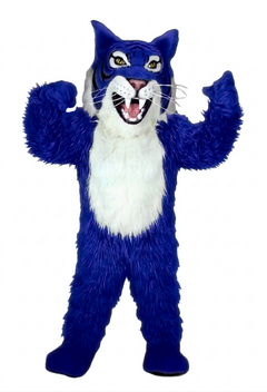 Grey Wildcat Mascot - long fur Royal Blue