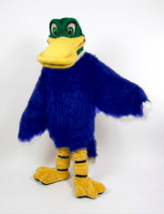 Mallard Mascot - long fur Royal Blue