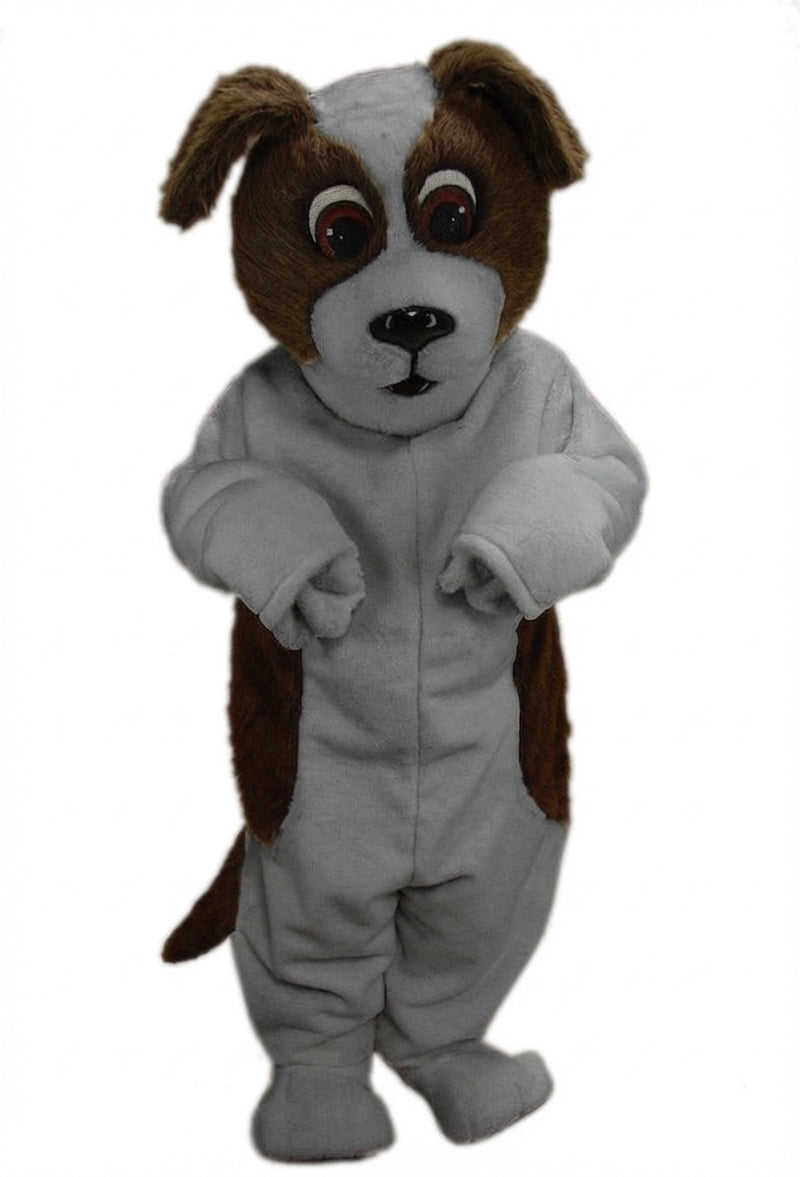 St. Bernard Mascot Costume - Short fur / Grey mascot costume