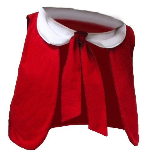 Vest & Collar - mascot costume accessory from The Mascot Store