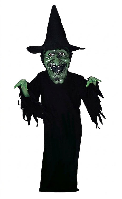 Witch Mascot Costume - professional mascot costume from The Mascot Store