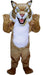 43703 Fierce Wildcat Mascot Costume