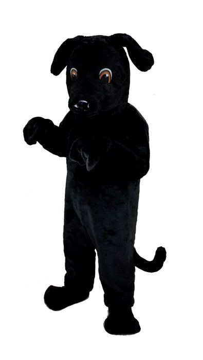 T0091 Black Lab Mascot Costume (Thermolite)