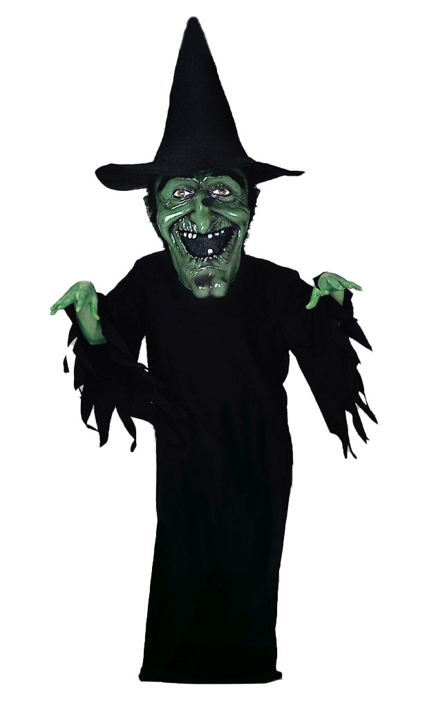 Witch Mascot - Professional Mascot Costume